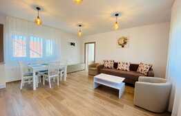 Apartament de 2 camere, 60 mp, nou, terasa 40 mp, parcare, zona strazii Maramuresului