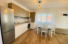Apartament de 2 camere, 60 mp, nou, terasa 40 mp, parcare, zona strazii Maramuresului