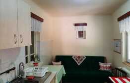 De vanzare casa individuala,100 mp utili cu anexe gospodaresti, teren generos 1400 mp, curte si gradina in Rascruci 500 mp teren,zona linistita