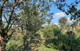 De vanzare casa individuala,100 mp utili cu anexe gospodaresti, teren generos 1400 mp, curte si gradina in Rascruci 500 mp teren,zona linistita