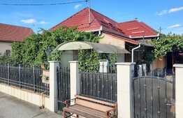 De vanzare casa individuala,100 mp utili cu anexe gospodaresti, teren generos 1400 mp, curte si gradina in Rascruci 500 mp teren,zona linistita