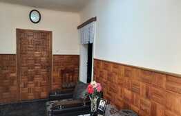 De vanzare casa individuala,100 mp utili cu anexe gospodaresti, teren generos 1400 mp, curte si gradina in Rascruci 500 mp teren,zona linistita