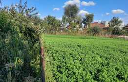 De vanzare casa individuala,100 mp utili cu anexe gospodaresti, teren generos 1400 mp, curte si gradina in Rascruci 500 mp teren,zona linistita