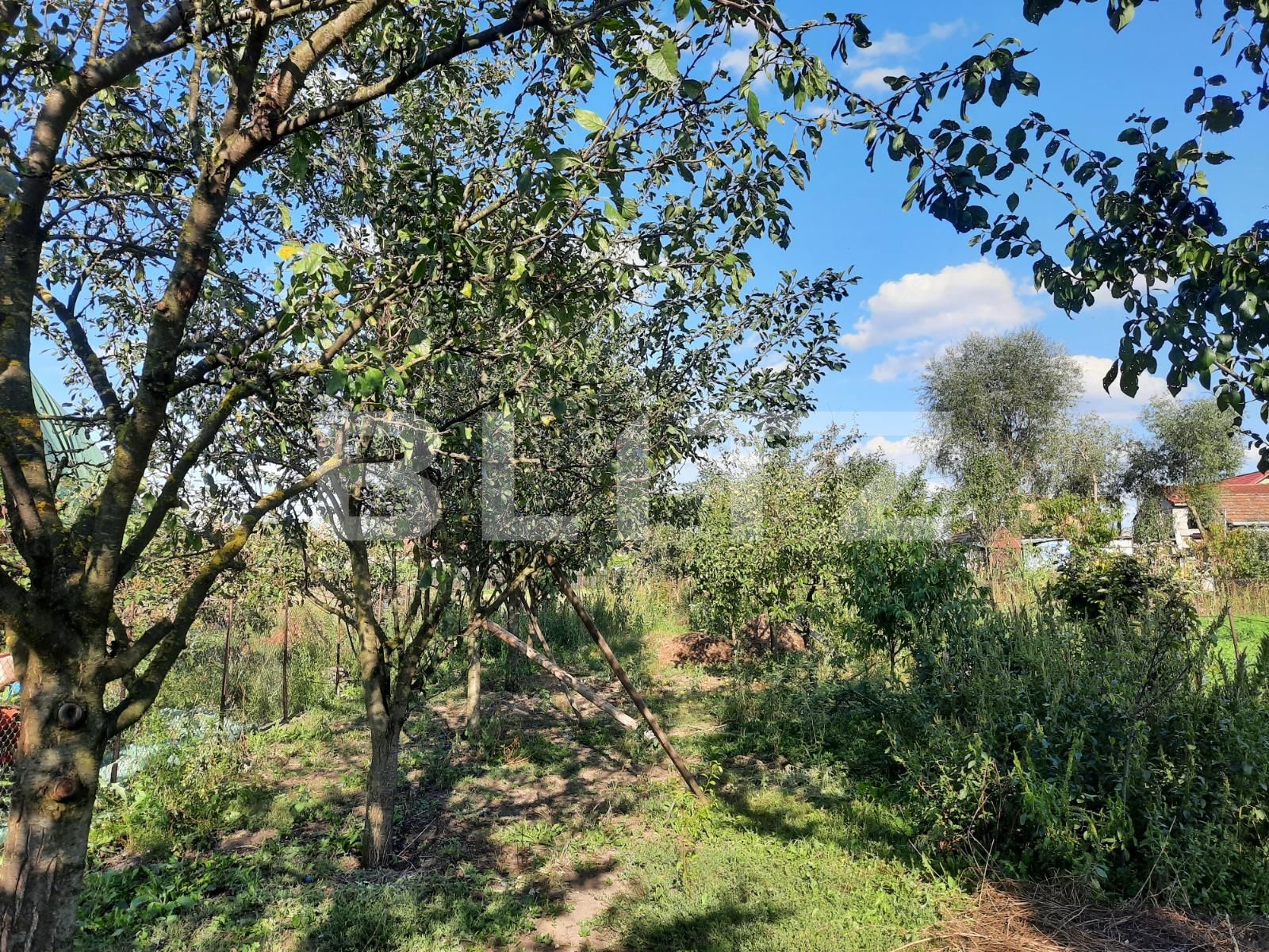 Casa de vânzare 2 camere Exterior Est - 71050CV | BLITZ Cluj-Napoca | Poza10