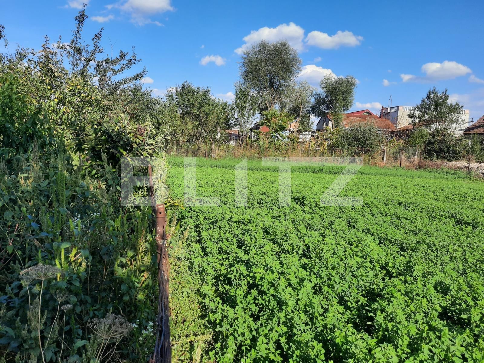 Casa de vânzare 2 camere Exterior Est - 71050CV | BLITZ Cluj-Napoca | Poza8