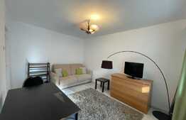 Garsoniera, 30mp, moderna , zona Calvaria