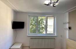 Apartament 1 camera, 32 mp, zona strazii Horea, Centru