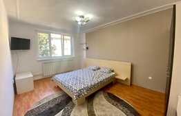 Apartament 1 camera, 32 mp, zona strazii Horea, Centru