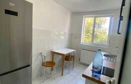 Apartament 1 camera, 32 mp, zona strazii Horea, Centru