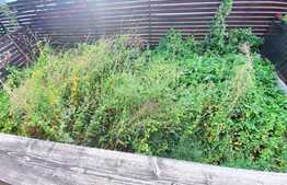 Garsoniera la cheie, 37 mp utili, gradina de 25 mp! Zona Sub Cetate!