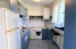 Apartament luminos de 2 camere situat in centru Clujului, zona Mihai Viteazul