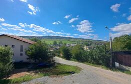 Duplex 154 mp, teren 200 mp, garaj, zona Auchan, Iris