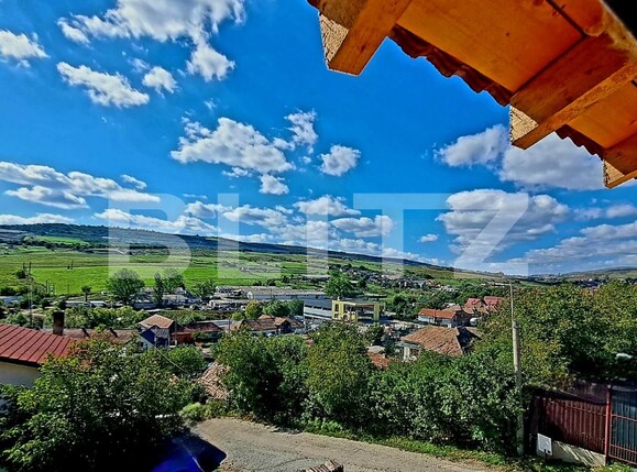 Casa de vânzare 4 camere Iris - 71086CV | BLITZ Cluj-Napoca | Poza4