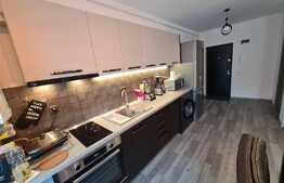 Apartament 2 camere, terasa 23 mp, loc parcare, etaj 1! Zona strazii Fagului!