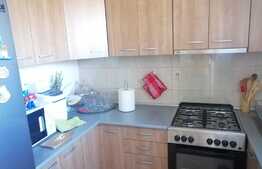 Casa cuplata, finisata, 28 mp utili, Parcul Feroviarilor