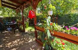 Oportunitate! De vanzare casa tip duplex in zona Terra!