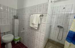 Garsoniera, 20 mp, open space,  A.C., zona strazii Ciocarliei