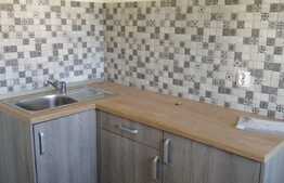 Spatiu de inchiriat, 55 mp, terasa, parcare, zona strazii Corneliu Coposu