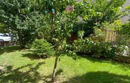 Investiție! Apartament 2 camere, 48 mp utili, zona Bonjour