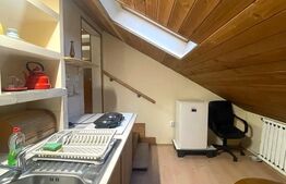 Apartament la casa,1 camera, 30 mp, zona strazii Artelor