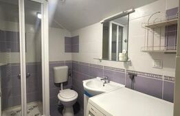 Apartament la casa,1 camera, 30 mp, zona strazii Artelor