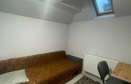 Apartament la casa,1 camera, 30 mp, zona strazii Artelor