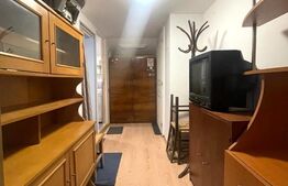 Apartament la casa,1 camera, 30 mp, zona strazii Artelor