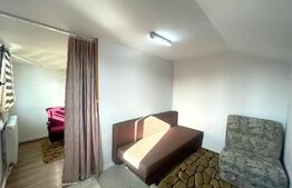 Apartament de 1 camera, decomandat, zona strazii Artelor