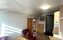 Apartament de 1 camera, decomandat, zona strazii Artelor