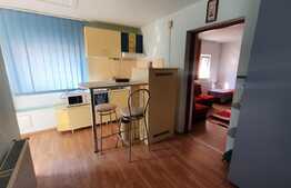 Apartament 2 camere, semidecomandat, gradina, zona UMF