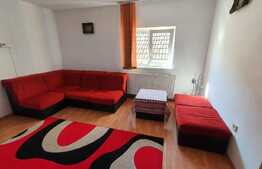 Apartament 2 camere, semidecomandat, gradina, zona UMF