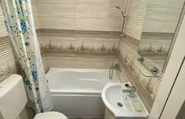 Apartament de inchiriat cu 1 camera, 45 mp, zona P-ta Mihai Viteazu