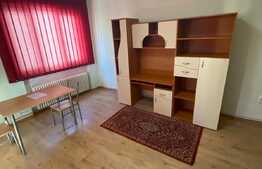 Apartament de inchiriat cu 1 camera, 45 mp, zona P-ta Mihai Viteazu