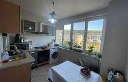 Apartament de 3 camere, 65 mp, parcare, pet friendly, zona strazii Al. Vlahuta