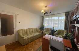 Apartament de 3 camere, 65 mp, parcare, pet friendly, zona strazii Al. Vlahuta