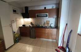 Exclusiv! Apartament situat langa parcul Central, 2 camere 84 m2 !