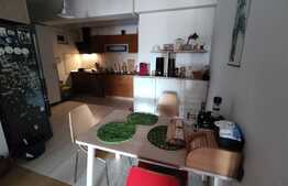 Exclusiv! Apartament situat langa parcul Central, 2 camere 84 m2 !