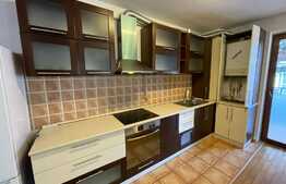 Apartament 3 camere, 90 mp, garaj, pet friendly, terasa, zona Buna Ziua