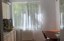 Apartament 3 camere, 70 mp, parcare, terasa, zona strazii Unirii