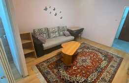 Garsoniera de inchiriat, 28 mp, zona McDonald's