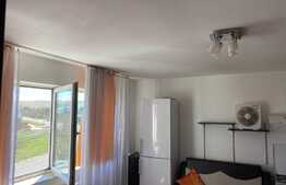 Apartament 1 camera, nisa de dormit, 40 mp, pet friendly, zona strazii Libertatii