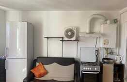 Apartament 1 camera, nisa de dormit, 40 mp, pet friendly, zona strazii Libertatii