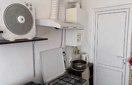 Apartament 1 camera, nisa de dormit, 40 mp, pet friendly, zona strazii Libertatii