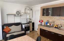 Apartament 1 camera, nisa de dormit, 40 mp, pet friendly, zona strazii Libertatii