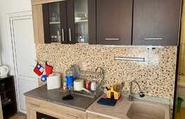 Apartament 1 camera, nisa de dormit, 40 mp, pet friendly, zona strazii Libertatii