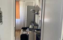 Apartament 1 camera, nisa de dormit, 40 mp, pet friendly, zona strazii Libertatii
