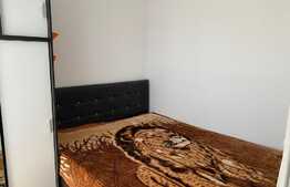 Apartament 1 camera, nisa de dormit, 40 mp, pet friendly, zona strazii Libertatii