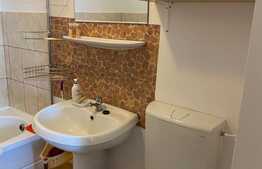 Apartament 1 camera, nisa de dormit, 40 mp, pet friendly, zona strazii Libertatii