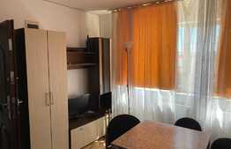Apartament 1 camera, nisa de dormit, 40 mp, pet friendly, zona strazii Libertatii