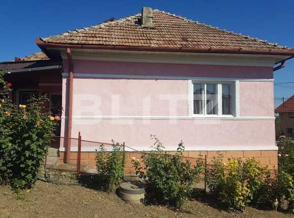 Casa de vânzare 3 camere Dambul Rotund - 71291CV | BLITZ Cluj-Napoca | Poza9